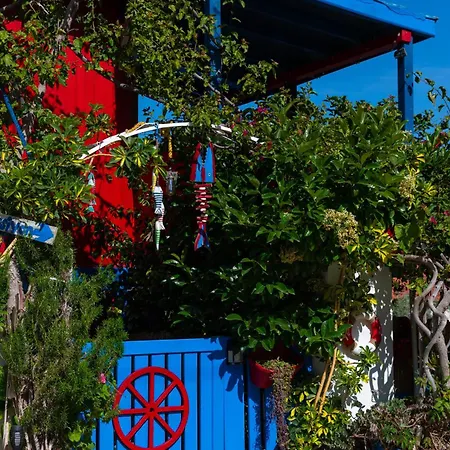 홈스테이 Derin Mavi Butik