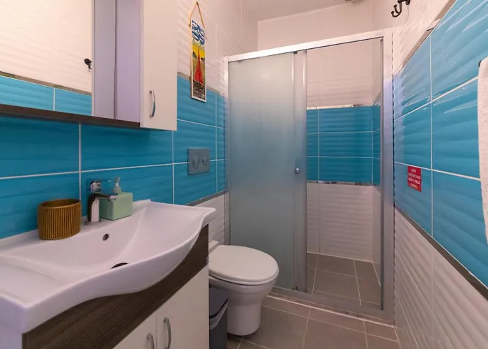 Séjour chez l'habitant Derin Mavi Butik Sogut (Aegean)